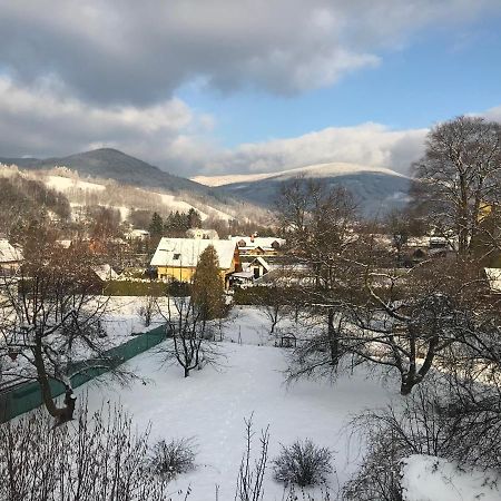 Mezonetovy Apartman Isabela Loučná nad Desnou エクステリア 写真