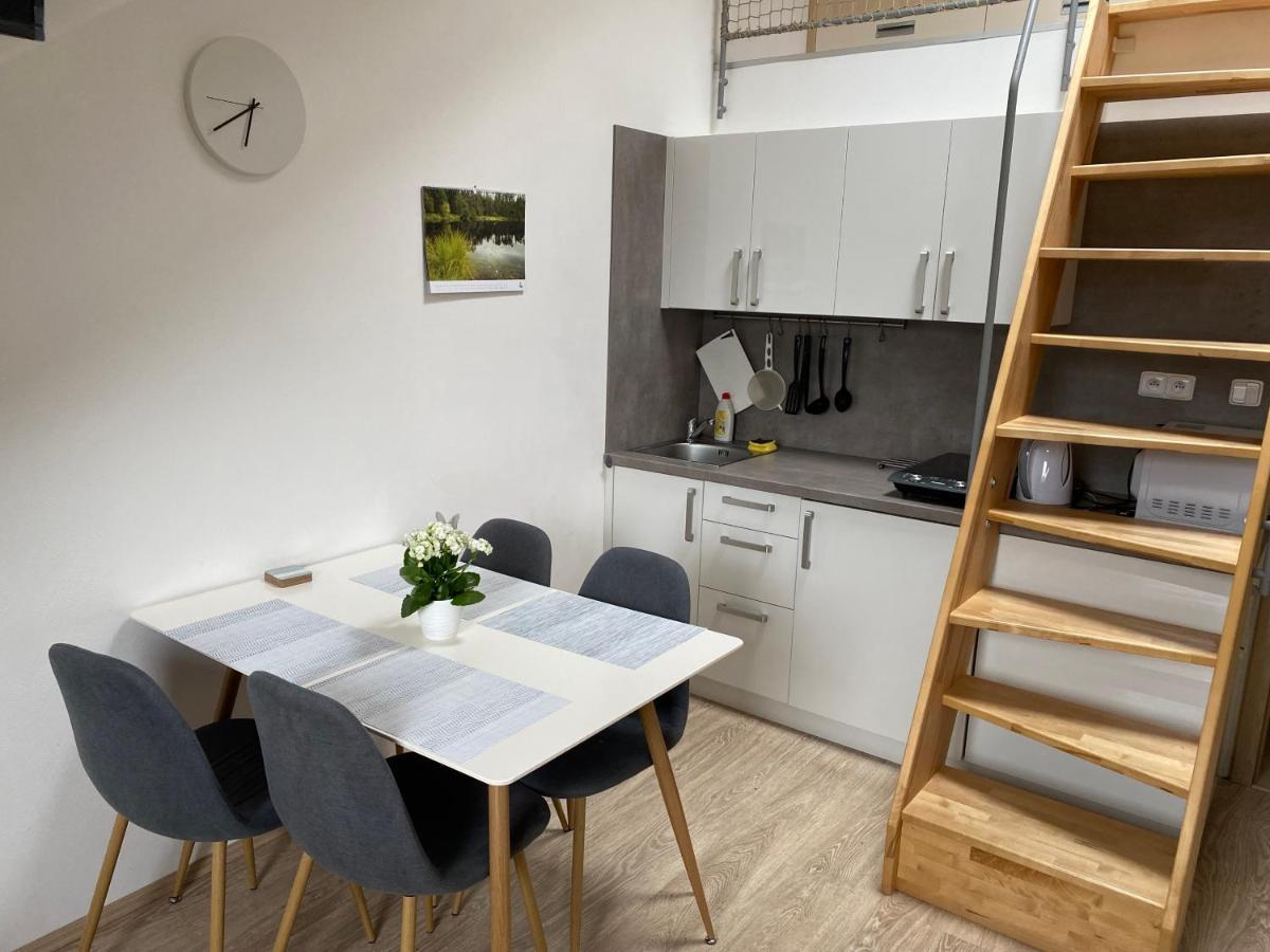 Mezonetovy Apartman Isabela Loučná nad Desnou エクステリア 写真