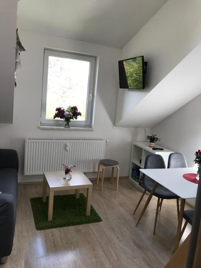 Mezonetovy Apartman Isabela Loučná nad Desnou エクステリア 写真