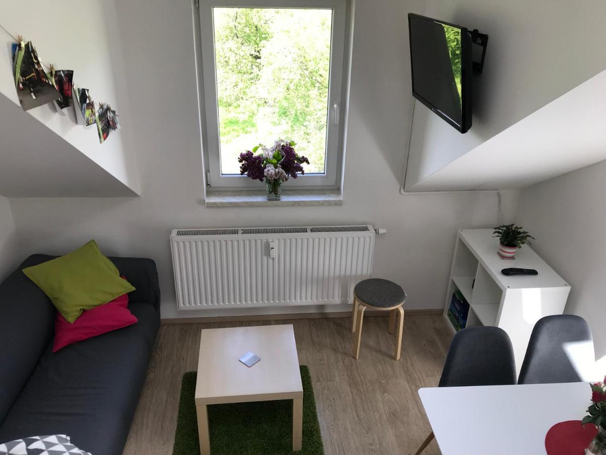 Mezonetovy Apartman Isabela Loučná nad Desnou エクステリア 写真